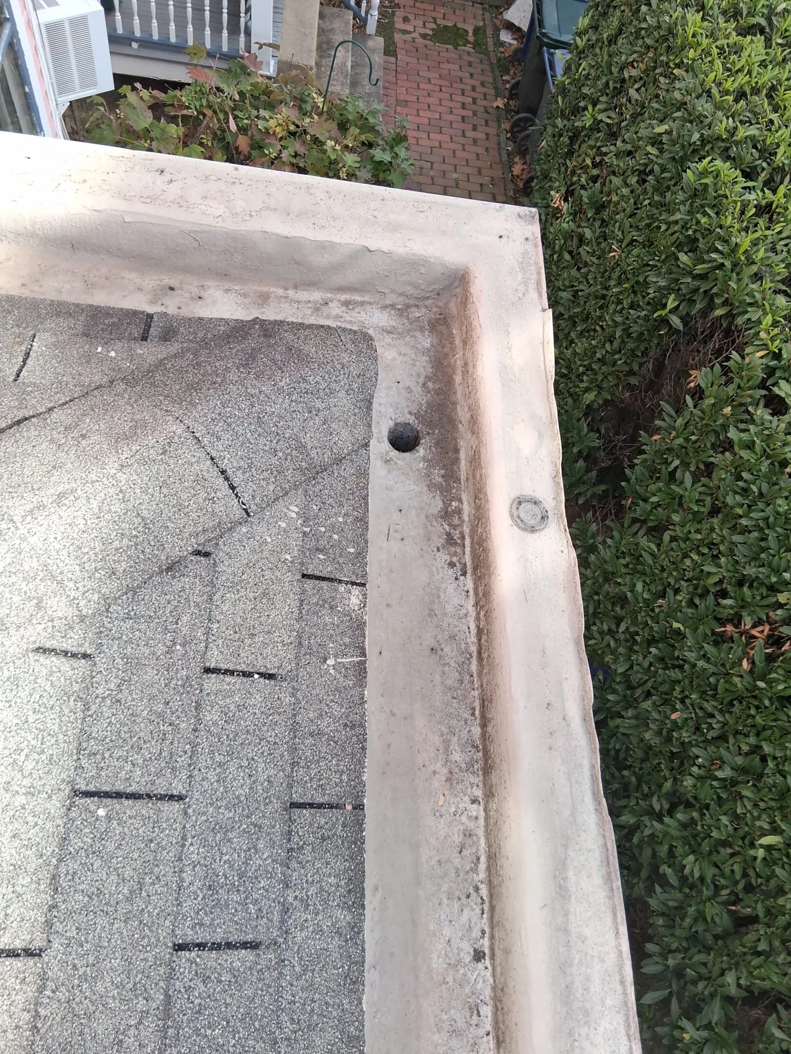 Empty pool corner with visible drain and surrounding greenery.